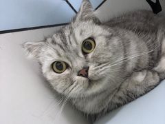 -中农国际动物医院24小时·猫科·骨科·急重症中心
