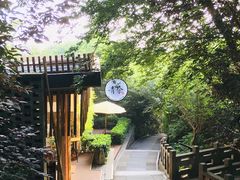 -上海佘山国家森林公园西佘山园