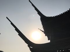 -呀路古热带植物园