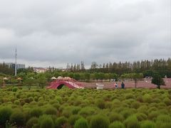 -嘉北郊野公园