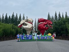 -黄海国家森林公园