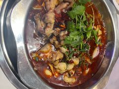 -川囧肥肠鸡·美蛙鱼锅(平高广场店)