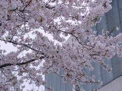 -龙美术馆(西岸馆)