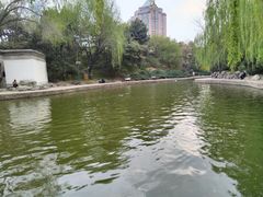 -团结湖公园