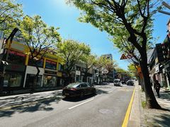 -宝健路步行街(Pedestrian Shopping Street)