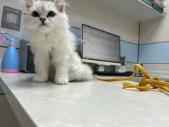 -中农国际动物医院24小时·猫科·骨科·急重症中心