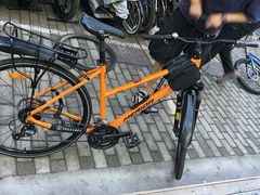 -道路口单车爱瓦士dahon大行