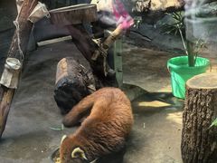 -武汉动物园