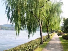 -浙江西子宾馆·牡丹厅