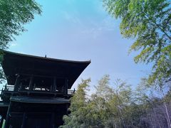 -大唐贡茶院