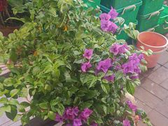 -张记焖窑·十五年专注焖烤(雍和宫店)
