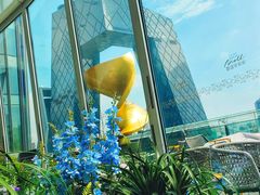 -中央广播电视总台(光华路办公区)