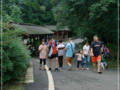 -中国大熊猫保护研究中心雅安碧峰峡基地