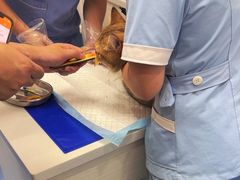 -博特宠物医院24h犬猫全科.骨科·异宠