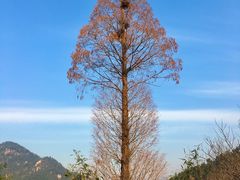 -崂山九水游览区