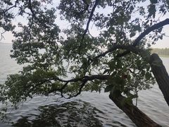 -东湖落雁景区