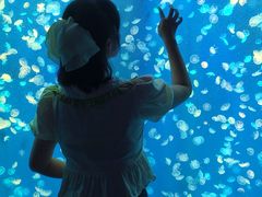 -江和美海洋公园