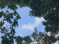 -狮子山郊野公园