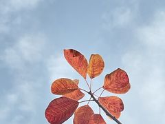 -周口店坡峰岭风景区