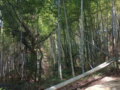 -鸡枕山