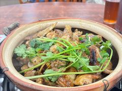 -华仔土鸡店(南洲分店)