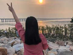 -宝安西湾红树林湿地公园