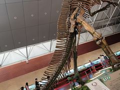-诸城市恐龙博物馆