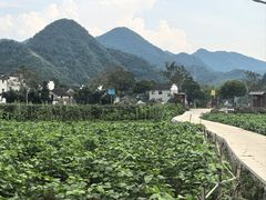 -绩溪龙川景区