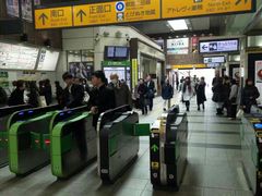 -成都濑川外国语学校