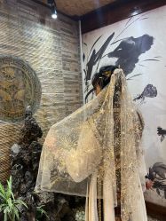 -小红帽摄影(丽江店)