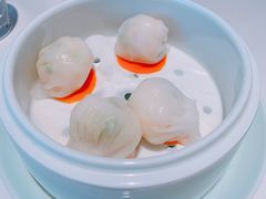 虾饺-粤界(望京金辉店)