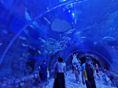 -华夏文旅海洋公园