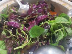 野菜-黔府豆米火锅野菜馆(南马店)