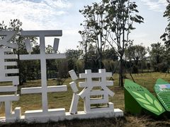 -长洲岛