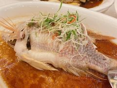 -顺峰(南二环店)