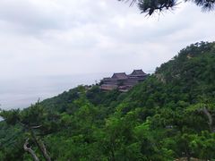 -石老人观光园