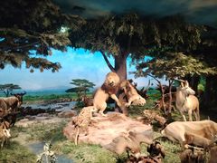 -国家自然博物馆