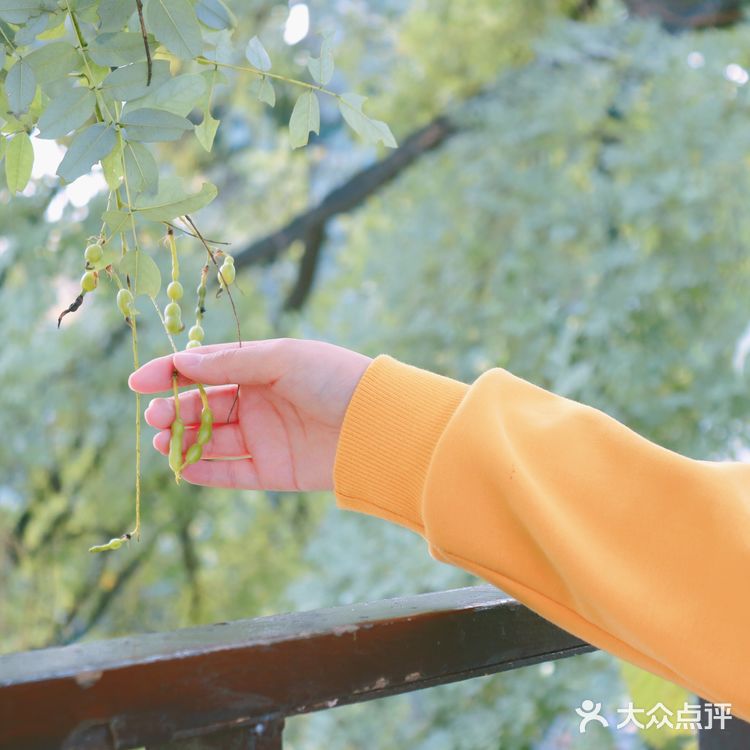 比旅游景点更值得去的餐厅！就藏在二环的胡同里！