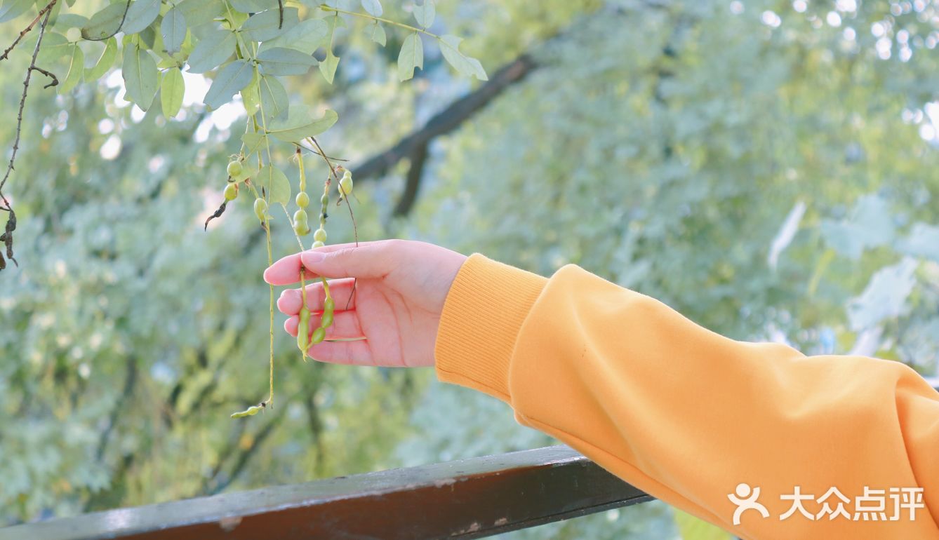 比旅游景点更值得去的餐厅！就藏在二环的胡同里！