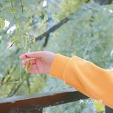 比旅游景点更值得去的餐厅！就藏在二环的胡同里！