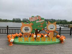 -上海长兴岛郊野公园