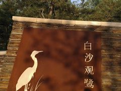 -东郊湿地公园