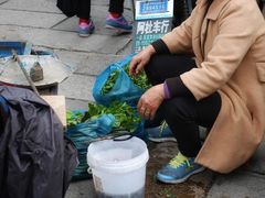 -新场古镇-停车场