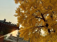 -承恩寺