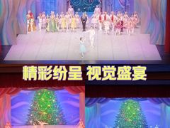 -上海东方艺术中心