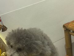 -耳艺采耳·足疗(市桥店)