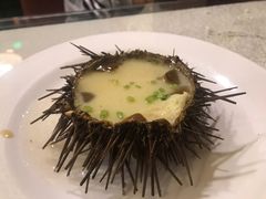 -蓬莱春(芝罘店)