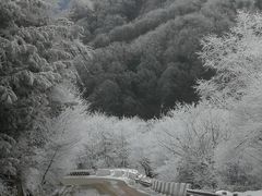 -秦岭风景区