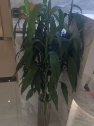 -王妃SPA·美容·科技抗衰