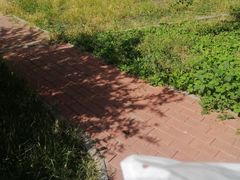 -小李烧鸡(大沽路店)